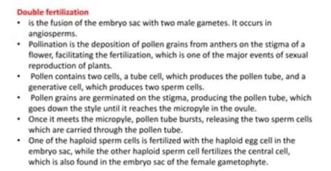 describe the process of double fertilization and triple fusion in ...