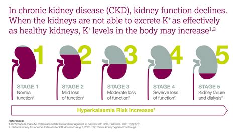 3rd Stage Kidney Disease Renal CKD Stage 3 With A Lot Of Questions