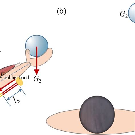 Image result for Human Coupling Position