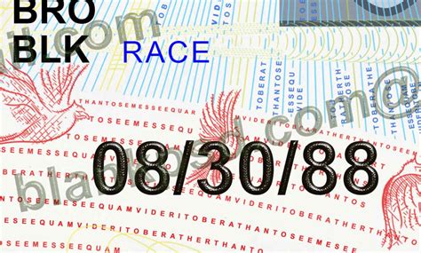 Image result for NC Driving License