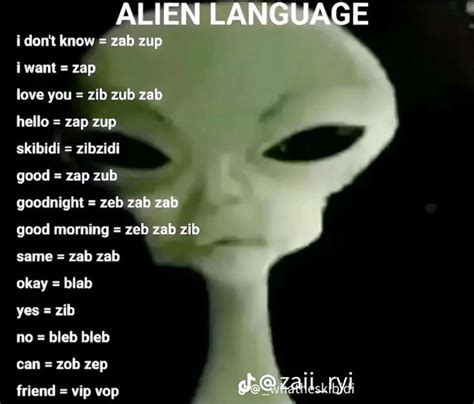 Image result for Alien Language Translator