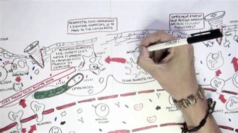 Image result for Adaptive Control System in Human Body