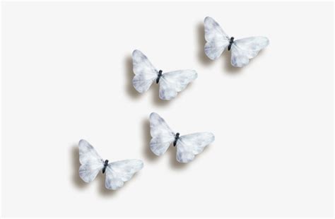Butterflies 3d Butterfly Reposted - White Butterfly Transparent ...