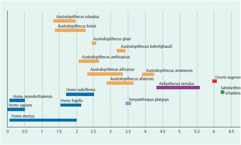 Human Evolution Science 的图像结果