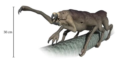 Image result for Alien Biospheres