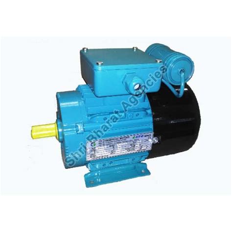 IEC Metric Frame Single Phase Motor Exporter, Supplier from Karnal
