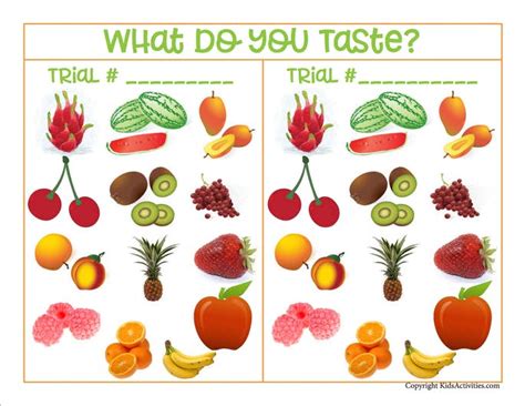 Image result for Taste Test Experiment