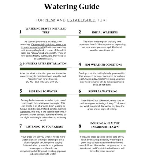 Sod & Grass Seed Watering Guide | Green Horizons Turf Farm