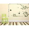 Decals Design 'Branch with Cage and Birds' Wall Sticker (PVC Vinyl, 70 ...