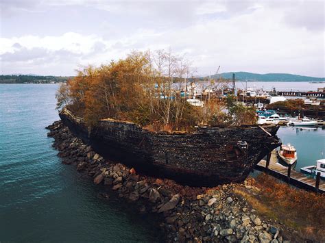 This scuttled ship has been used as a breakwater for so long it has ...