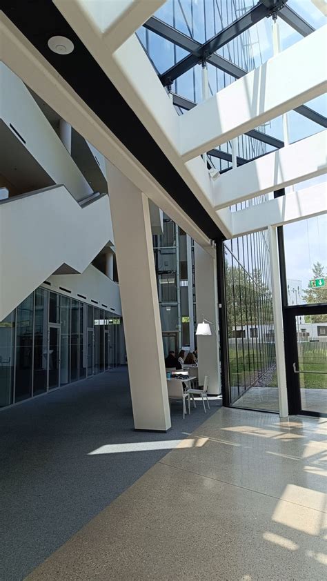 University Library 的图像结果