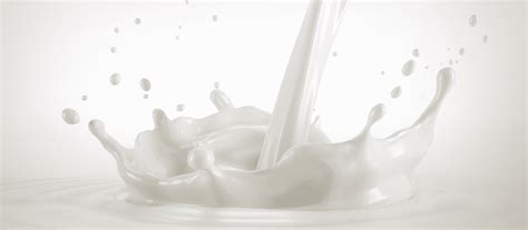 Milk Processing Steps 的图像结果