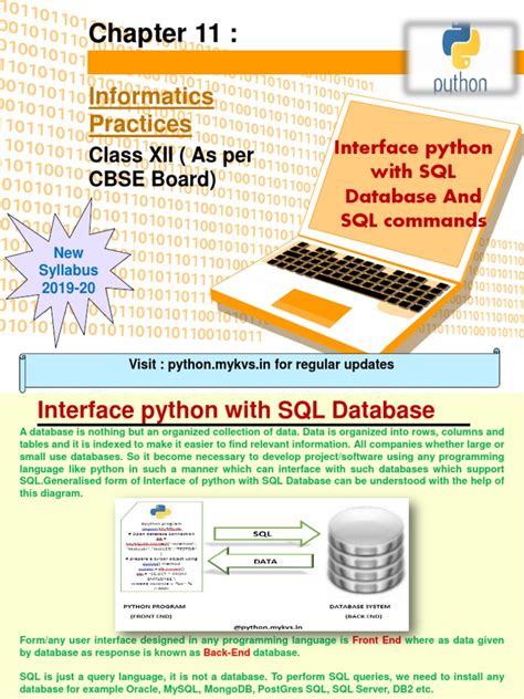 Image result for Python SQL Interface