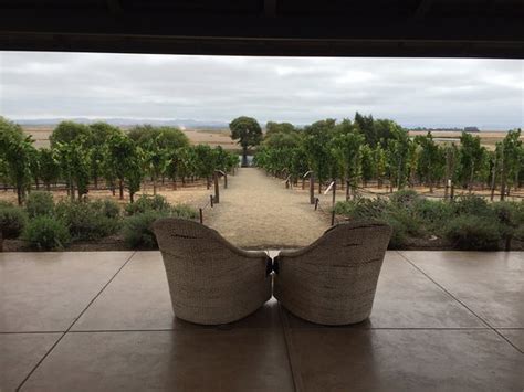 Excellent experience - Reviews, Photos - Ram's Gate Winery - Tripadvisor