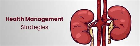 Top Strategies for Kidney Health Management at Medicover