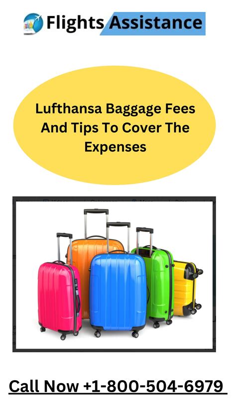 PPT - lufthansa baggage policy PowerPoint Presentation, free download ...