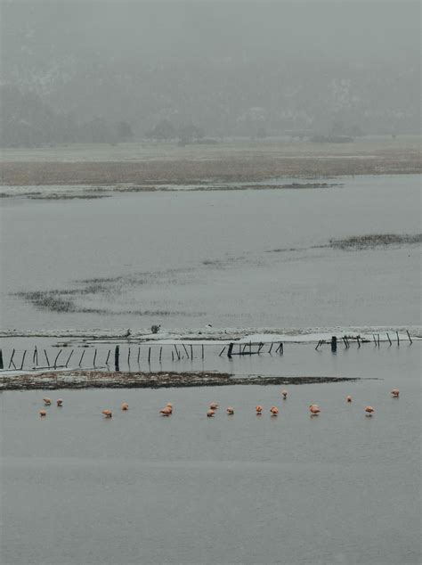 Miracle On Ice Photos, Download The BEST Free Miracle On Ice Stock ...