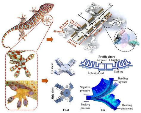 Bioinspired Rigid–Flexible Coupled Adaptive Compliant Motion Control of ...