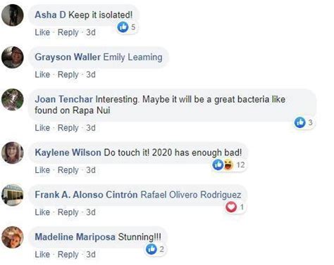 New Mexico Natural Pool Untouched By Humans