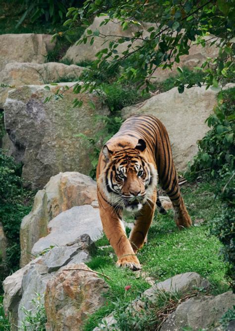 Contact Page - Pench National Park