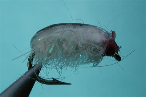 Image result for Sow Bug Fly Pattern