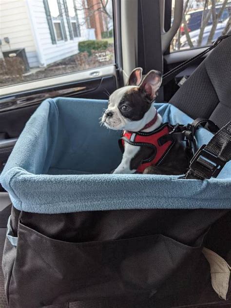 Bling Co-Pilot 的图像结果