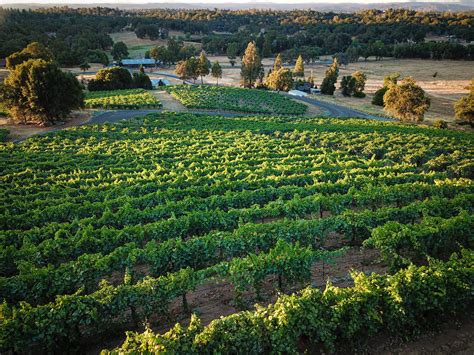 Chateau d' Estienne - Priority Wine Pass