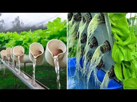 Modern Farming and Agriculture 的图像结果