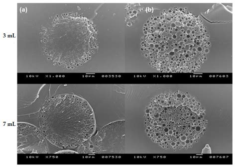 Protein Loading into Spongelike PLGA Microspheres