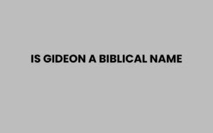 Image result for Definire Obiect Java Example