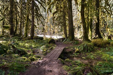 Salmon River West Trailhead – Adventure Planner-Scouting America ...