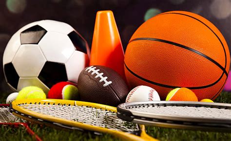 Image result for Sports Program Example