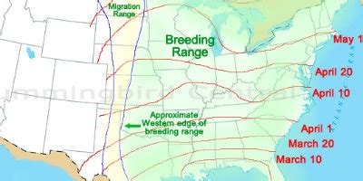 Image result for Migrating Hummingbird Map