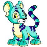 How to draw a Kougra
