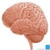 6789 correct to the nearest 100. - Brainly.in