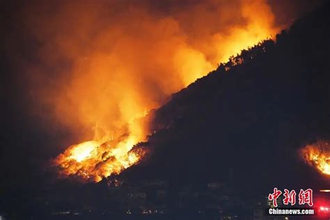 重庆多地发生山火，最新通报！_腾讯新闻