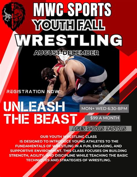 Image result for CWC Sports Complex