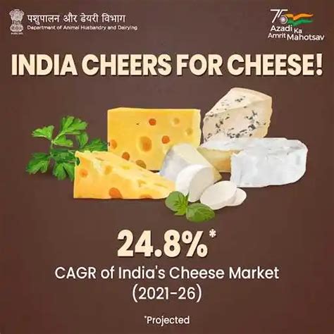 Cheese Advertising, Branding, Marketing and Promotion