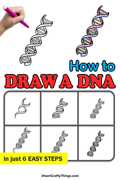 DNA Model Drawing 的图像结果