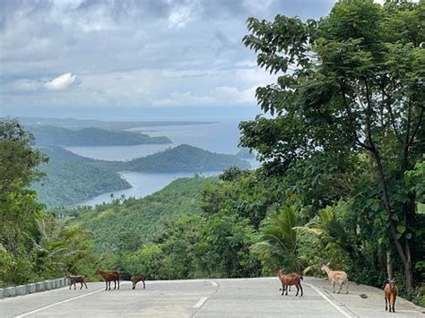 THE BEST Places to Visit in Mogpog (UPDATED 2024) - Tripadvisor