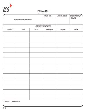 Image result for ICS Form 205