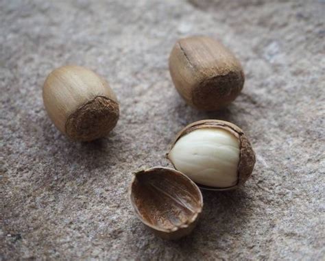 Image result for Spring Loaded Button Mechanism