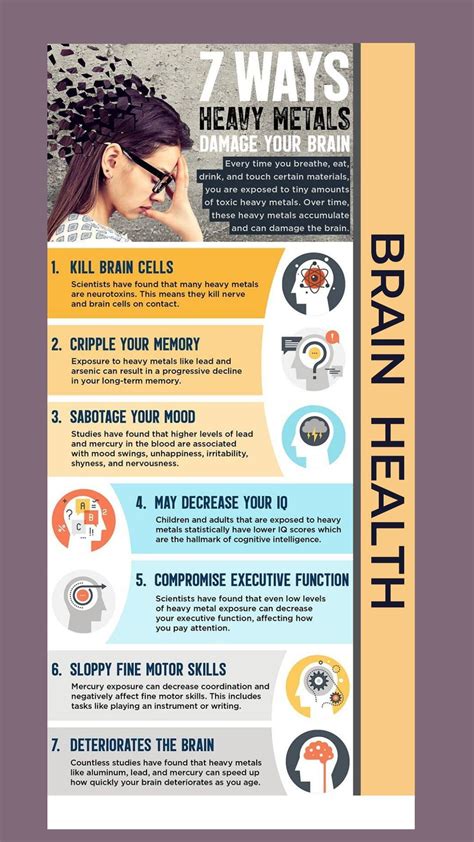 7 ways heavy metals damage the brain – Artofit