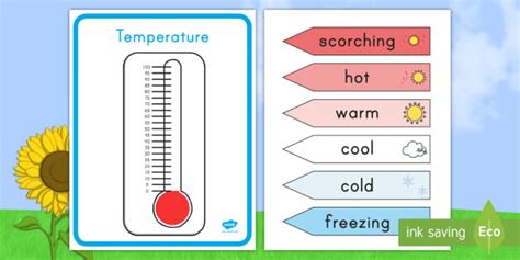Thermometer Temperature Display Poster (teacher made)