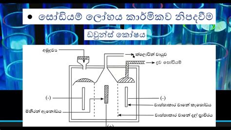 Downs Cell Diagram 的图像结果