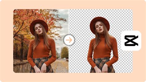 Example No Background 的图像结果