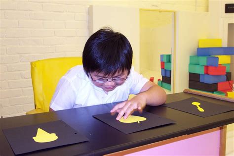 Image result for Low Vision Training