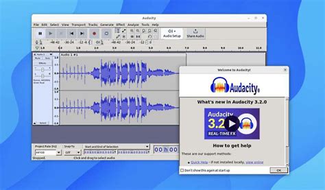 Image result for Audacity VST
