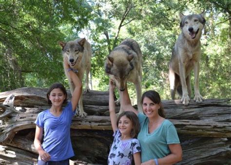 Chipley Images - Vacation Pictures of Chipley, Florida Panhandle ...