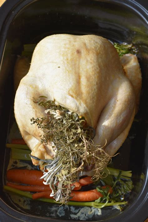 How to Cook a Turkey in a Roaster 的图像结果